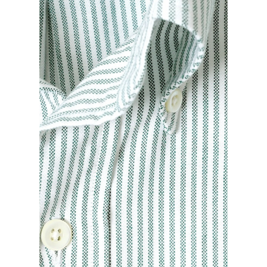 Kamakura IVY green stripe collar