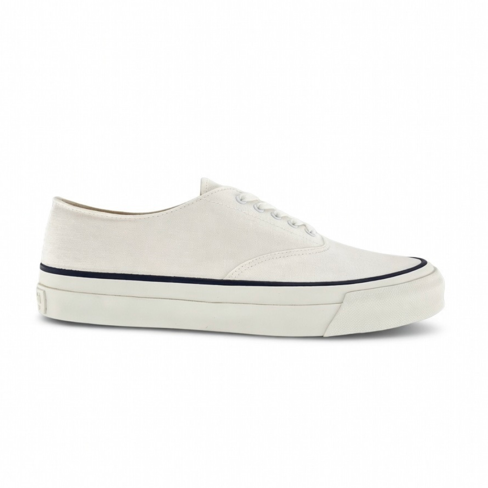 White sneaker with black accents on a white background